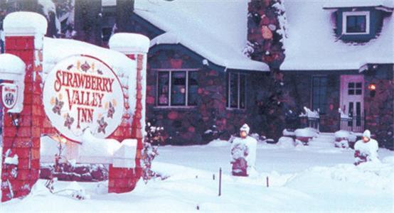 Strawberry Valley Inn Mount Shasta Extérieur photo